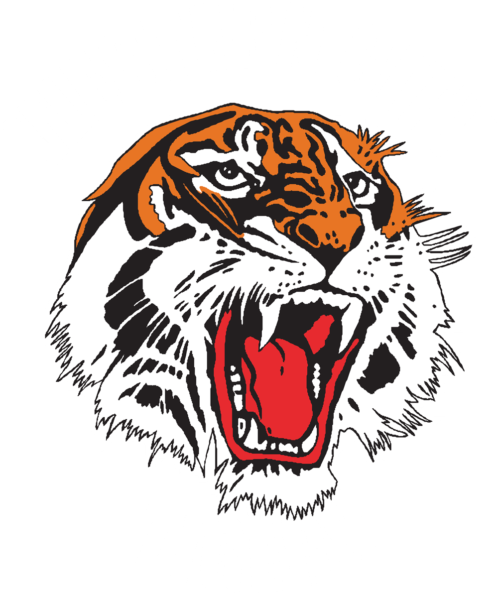 Watch Western City Tigers matches LIVE on BarTV Sports!