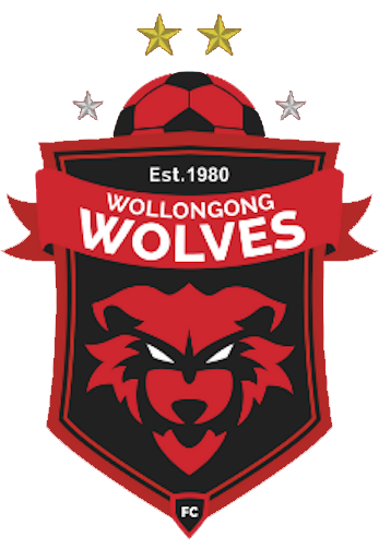 Wollongong+Wolves+secure+crucial+draw+against+APIA+Leichhardt+%26%23124%3B++Illawarra+Mercury