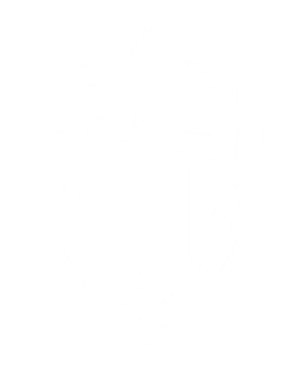 Auckland FC Logo