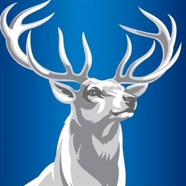 Glen Inness Elks RUFC Logo