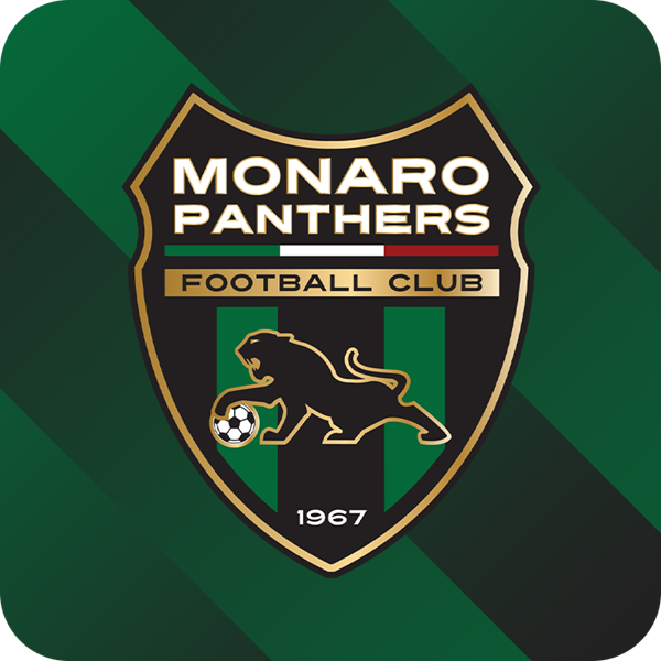 Monaro Panthers FC Logo