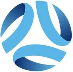 Football New South Wales Logo