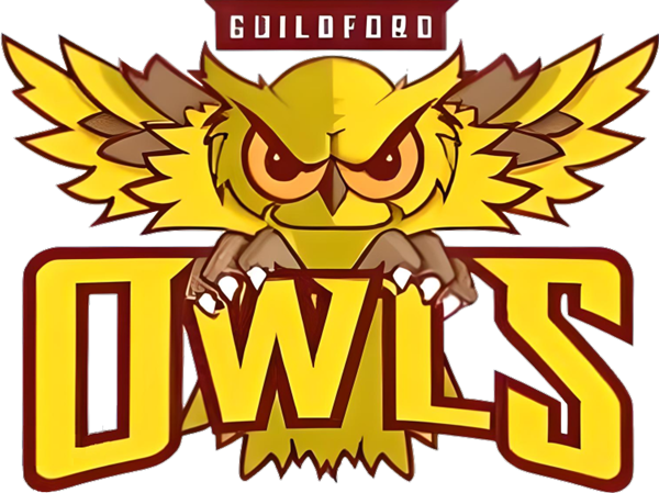 Guildford Owls Logo